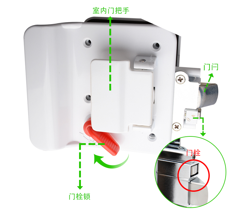 SS6206-W_06.jpg