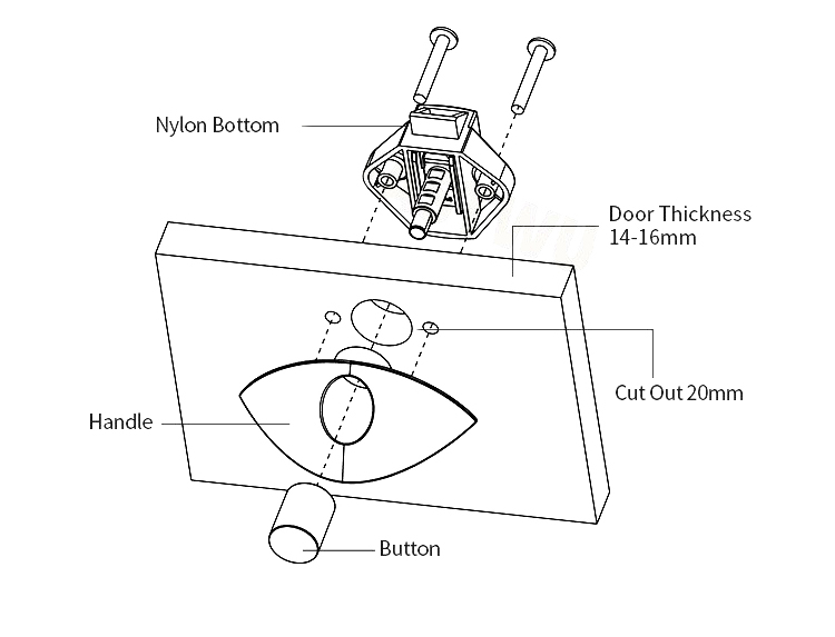 P06-SN_02.jpg